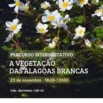 Sul Informação - Aves, insetos ou plantas: saiba como pode descobrir mais sobre as Alagoas Brancas