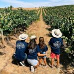 Sul Informação - Herdades alentejanas convidam turistas a participar nas vindimas