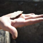 Sul Informação - Cisterna milenar do Castelo de Alferce dá pistas para a história deste povoado fortificado