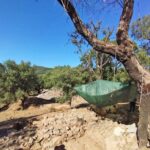Sul Informação - Escavações arqueológicas no cerro do Castelo de Alferce voltam a surpreender