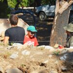 Sul Informação - Escavações arqueológicas no cerro do Castelo de Alferce voltam a surpreender