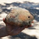 Sul Informação - Escavações arqueológicas no cerro do Castelo de Alferce voltam a surpreender