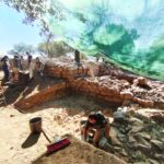 Sul Informação - Setembro começa com dia aberto nas escavações arqueológicas do Castelo de Alferce