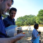 Sul Informação - Mistérios do Castelo de Alferce desvendados em campanha arqueológica