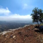 Sul Informação - Castelo de Alferce revela os seus segredos em mais uma campanha arqueológica