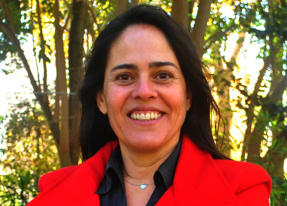 Sul Informação - Catarina Marques/CDU: É urgente a «criação de um Operador Público Rodoviário Regional»