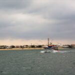 Sul Informação - Farol e Hangares não desistem da luta contra demolições e têm a ajuda de Catarina Martins