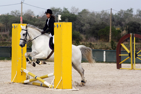 Sul Informação - Cavaleira do Clube Hípico de Loulé vence Regional de Saltos de Obstáculos