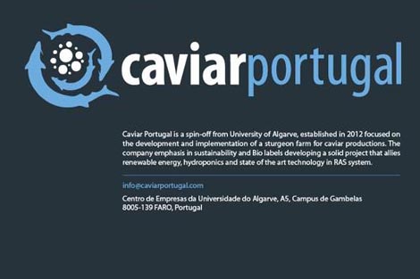 Sul Informação