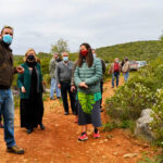 Sul Informação - População tenta “matar” central solar no interior de Tavira antes que haja projeto
