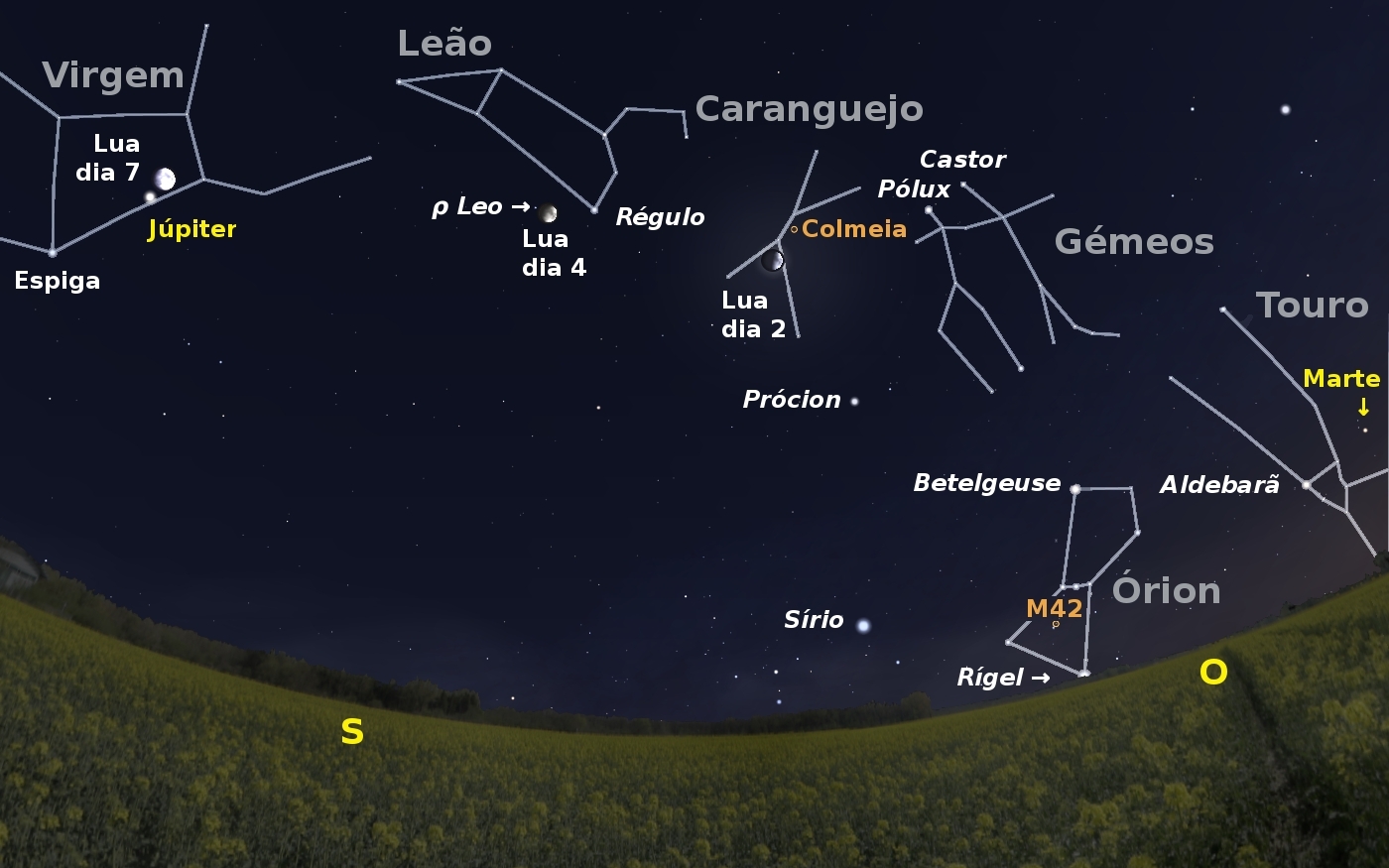 Sul Informação - Em Maio, há uma “chuva de estrelas” com “restos” do cometa Halley