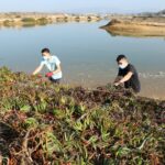 Sul Informação - Alvor assinala Dia Mundial das Zonas Húmidas com limpeza do areal e passeio na ria