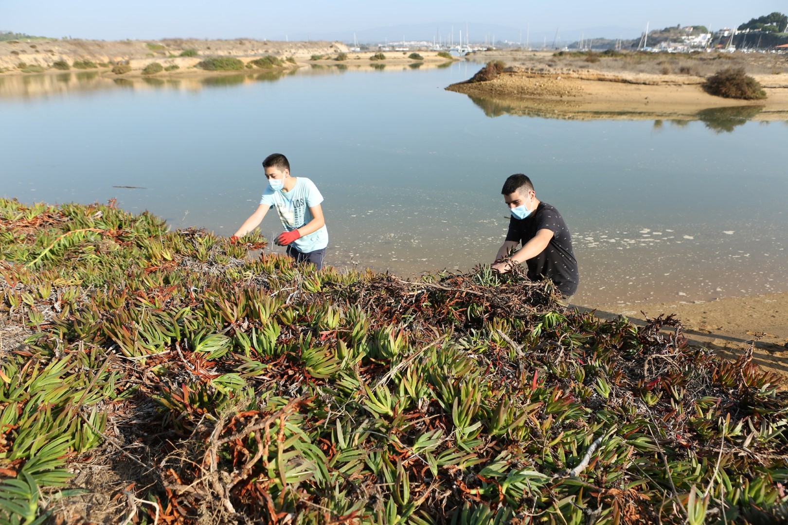 Sul Informação - Alvor assinala Dia Mundial das Zonas Húmidas com limpeza do areal e passeio na ria