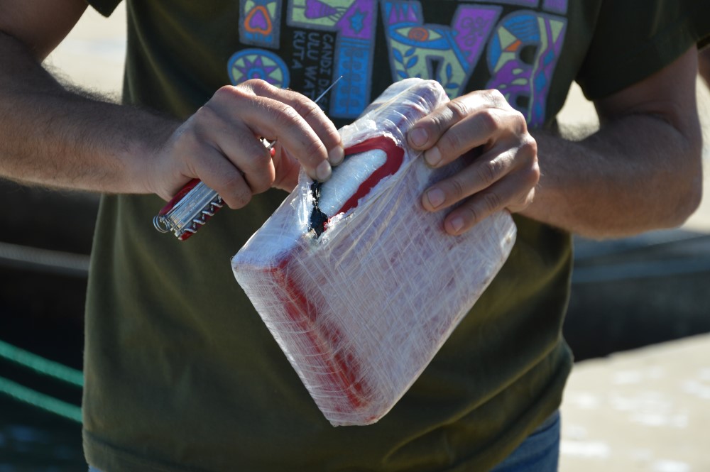 Sul Informação - Cocaína no valor de 20 milhões de euros apreendida em veleiro proveniente das Caraíbas (com fotos)