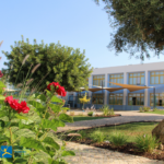 Sul Informação - Alunos do Colégio Internacional de Vilamoura entram em universidades de referência de todo o mundo