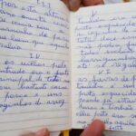 Sul Informação - Comida Esquecida levou comensais à horta do Senhor Álvaro para colher e cozinhar