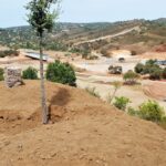 Sul Informação - Quinta da Ombria avança com garantias de sustentabilidade ambiental e social
