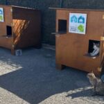 Sul Informação - Tavira instala 4 abrigos para colónias de gatos