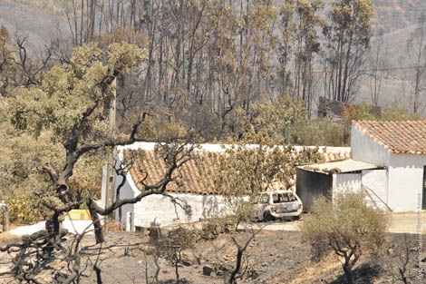 Sul Informação - Reportagem: Apagou-se o fogo, ficou o desespero na Serra do Caldeirão