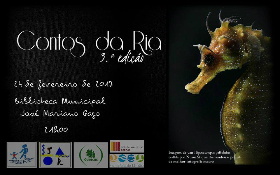 Sul Informação - Cavalos marinhos ajudam a estimular gosto pela leitura em nova sessão dos «Contos da Ria»