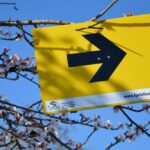 Sul Informação - Geraint Thomas ganha contrarrelógio e reforça liderança na Volta ao Algarve [com fotogaleria]