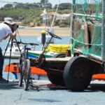 Sul Informação - Oito dezenas de fotógrafos correram Portimão à procura das melhores imagens [fotogaleria]