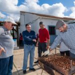 Sul Informação - Paisagens e produtos serranos inspiram passeio pedestre e magusto na Cortelha