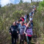 Sul Informação - Paisagens e produtos serranos inspiram passeio pedestre e magusto na Cortelha