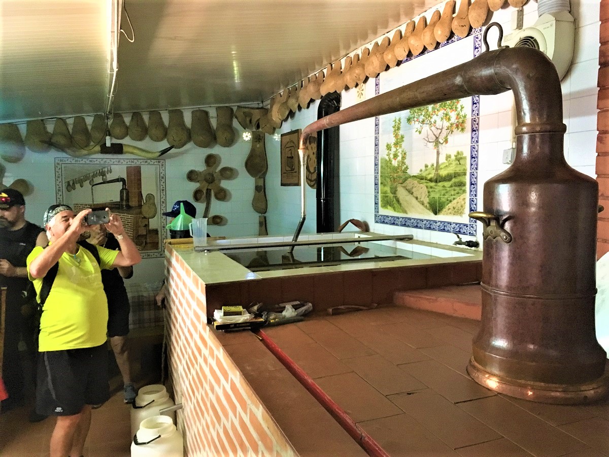 Sul Informação - Passeio na Cortelha visita destilarias de aguardente de medronho