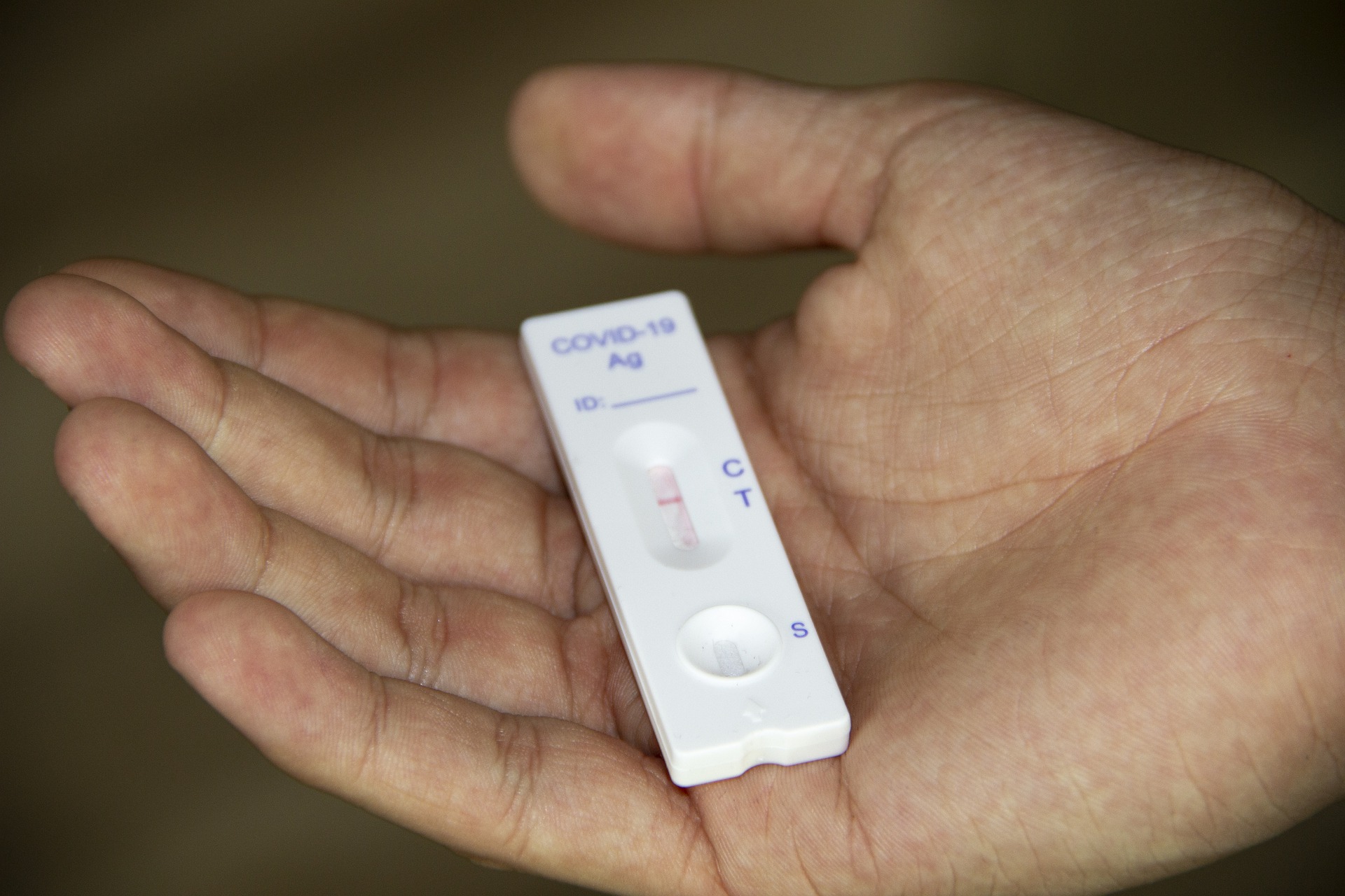 Sul Informação - Alentejo regista dois novos óbitos e 55 casos de Covid-19