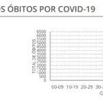 Sul Informação - Algarve tem 185 novos casos de Covid-19