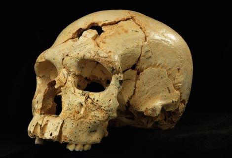 Sul Informação - Atapuerca escreve uma nova página no livro da evolução humana