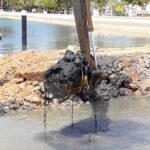 Sul Informação - PAN quer respostas sobre «crime ambiental» na zona ribeirinha de Olhão