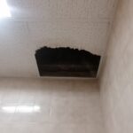 Sul Informação - Direção de Finanças de Faro inundada e com tetos a cair, apesar de obras recentes [com fotos]