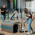 Sul Informação - Olhão celebra Semana do Animal com inauguração do novo parque canino do Levante