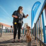 Sul Informação - Olhão celebra Semana do Animal com inauguração do novo parque canino do Levante