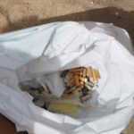 Sul Informação - Alunos de Portimão andaram nas praias de Alvor à procura d’Os Suspeitos do Costumes