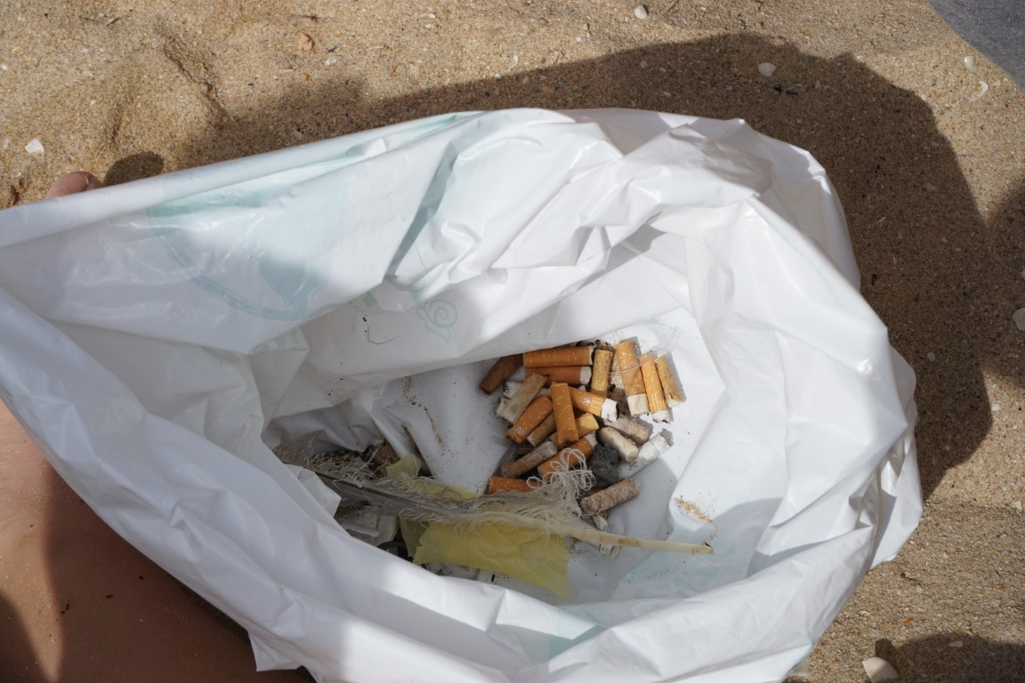 Sul Informação - Alunos de Portimão andaram nas praias de Alvor à procura d’Os Suspeitos do Costumes