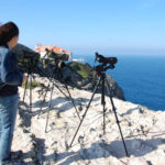 Sul Informação - Festival de Observação de Aves de Sagres recebeu mais de 950 pessoas de 17 nacionalidades
