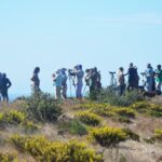 Sul Informação - Gente de toda a Europa de binóculos nos olhos para ver as aves em Sagres