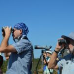 Sul Informação - Gente de toda a Europa de binóculos nos olhos para ver as aves em Sagres