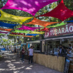 Sul Informação - Cervejas para todos os gostos e animação são ingredientes do Alameda Beer Fest