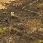 Sul Informação - Monchique viu o fogo passar e deixar uma destruição maior «que a de 2003»