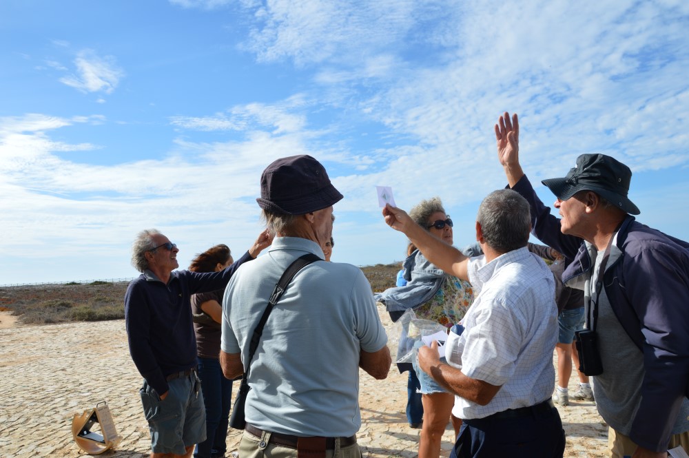 Sul Informação - Gente de toda a Europa de binóculos nos olhos para ver as aves em Sagres