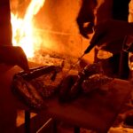 Sul Informação - Festival do Medronho atrai milhares à Serra de Monchique