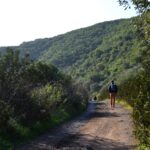 Sul Informação - Rememorar sons e gestos na paisagem, com Eva Poro no Monte Paraíso