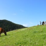 Sul Informação - Rememorar sons e gestos na paisagem, com Eva Poro no Monte Paraíso