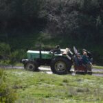 Sul Informação - Rememorar sons e gestos na paisagem, com Eva Poro no Monte Paraíso
