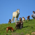 Sul Informação - Rememorar sons e gestos na paisagem, com Eva Poro no Monte Paraíso
