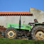 Sul Informação - Rememorar sons e gestos na paisagem, com Eva Poro no Monte Paraíso